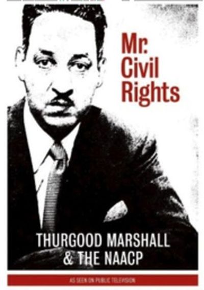 Mr. Civil Rights movie poster