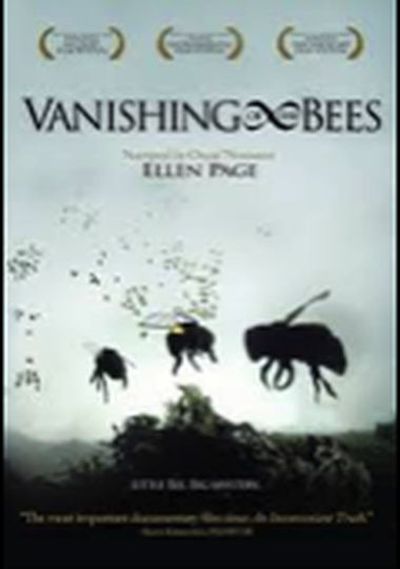 Vanishing of the bees movie poster